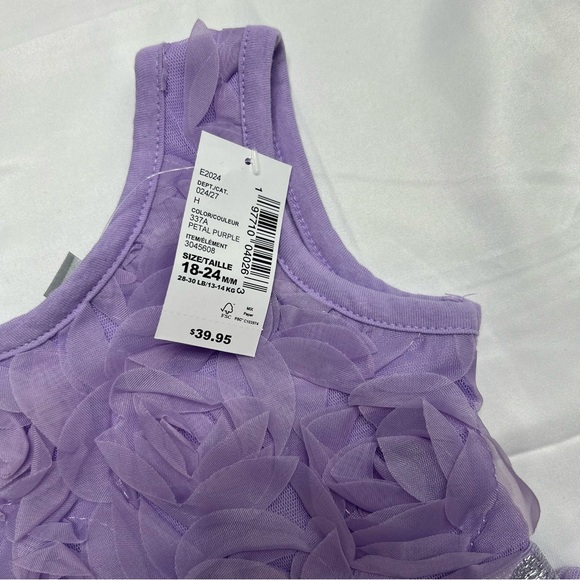 Baby Girls 3D Rosette Mesh Fit and Flare Dress - Purple Size 18-24 Months NWT - Picture 5 of 6